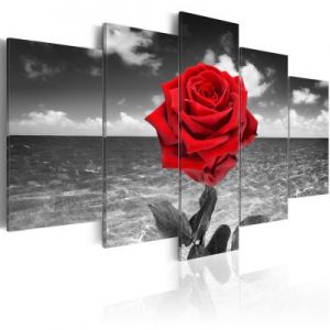 Obraz - Colour of love
