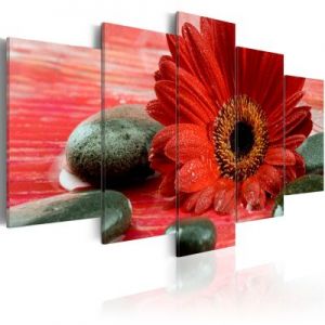 Obraz - Gerbera i kamienie Zen
