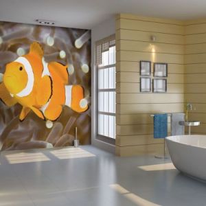 Fototapeta - Finding Nemo