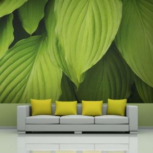 Fototapeta - Bright green leaves