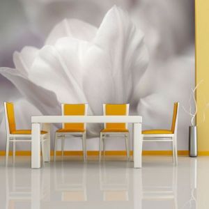 Fototapeta - Tulip - black and white photo