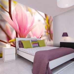 Fototapeta - Kwitnąca magnolia