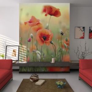 Fototapeta - Magiczny urok lata - maki
