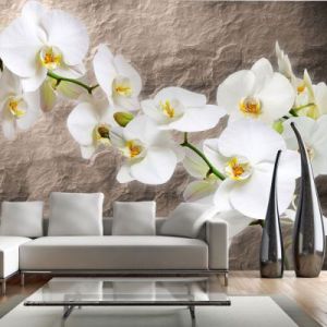 Fototapeta - Nieskazitelność orchidei