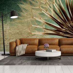 Fototapeta - Focus on dandelion