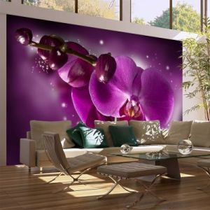 Fototapeta - Baśń i orchidea