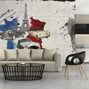 Fototapeta - Admirer of cars (France)