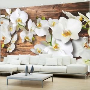 Fototapeta - Oziębłe orchidee II