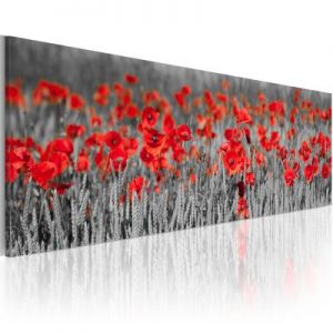 Obraz - Poppies among fields of wheat